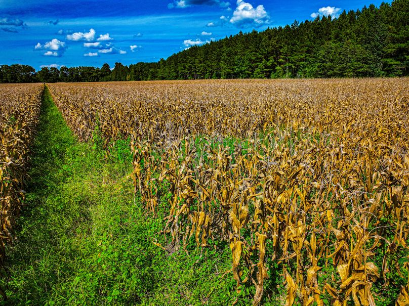 Lee County, MS 92+--05