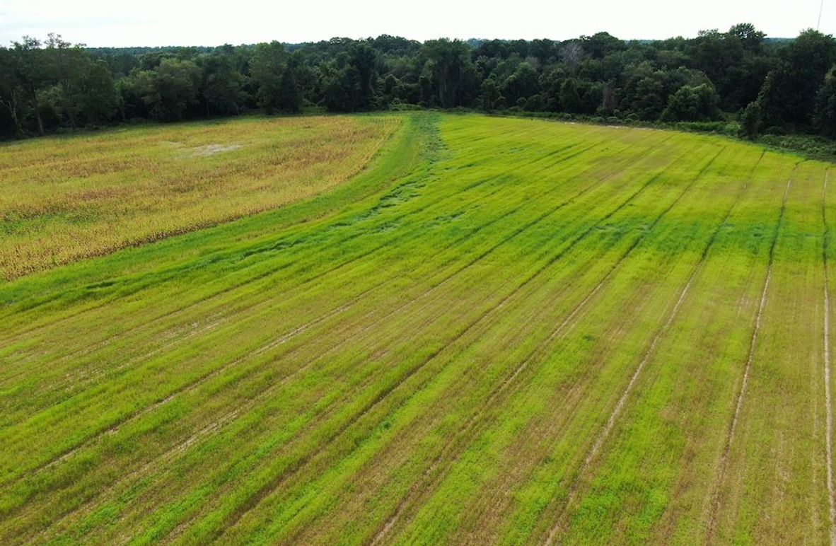 656D1EAB-2862-4C37-9DC1-6BD32813F6B3