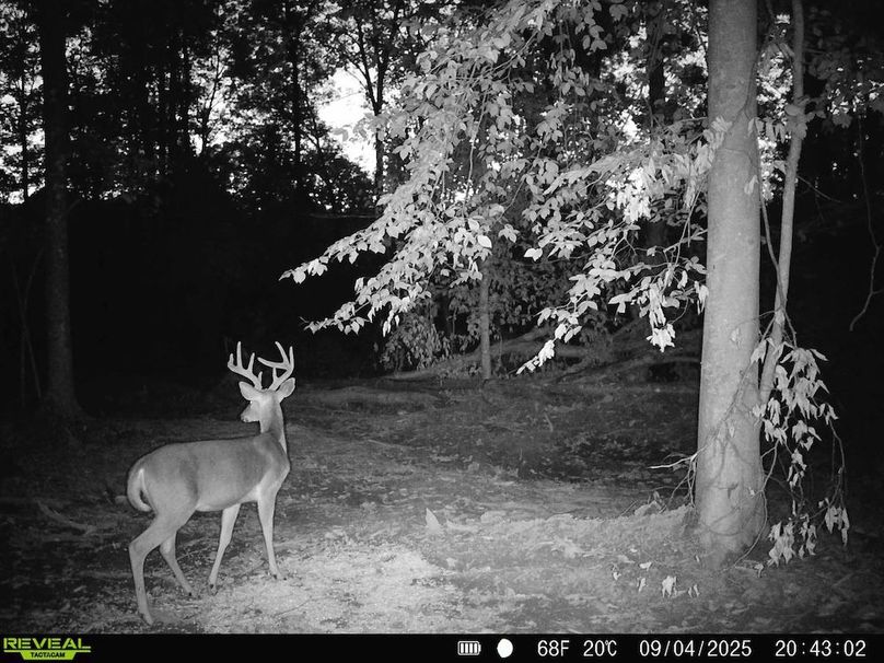 868032068723497-100-3-09042025205212-HD-SYFW0092