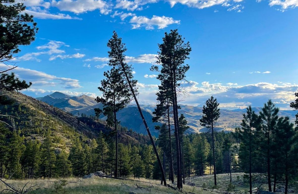 3. 20250430-IMG_5932