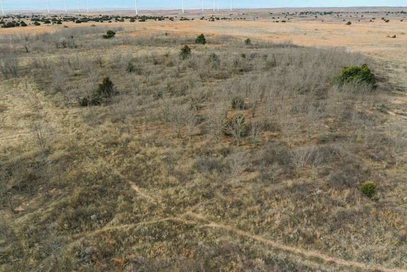 DJI_0581