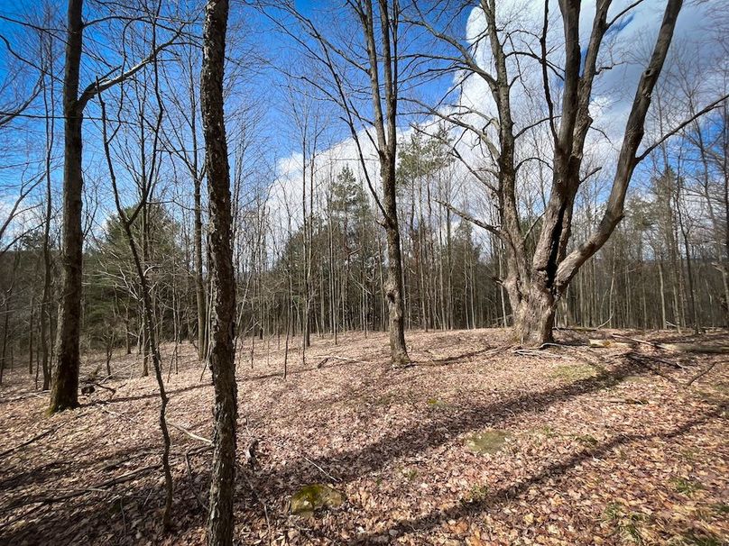 Tioga__NY_109.7_Burris_Photos_74