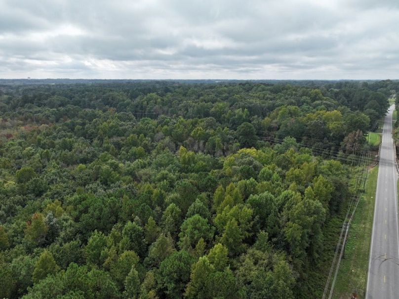 DJI_20240926120638_0003_D