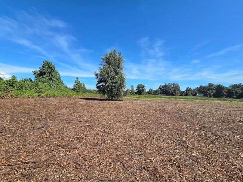 21ac, Sumter, Reelvest27