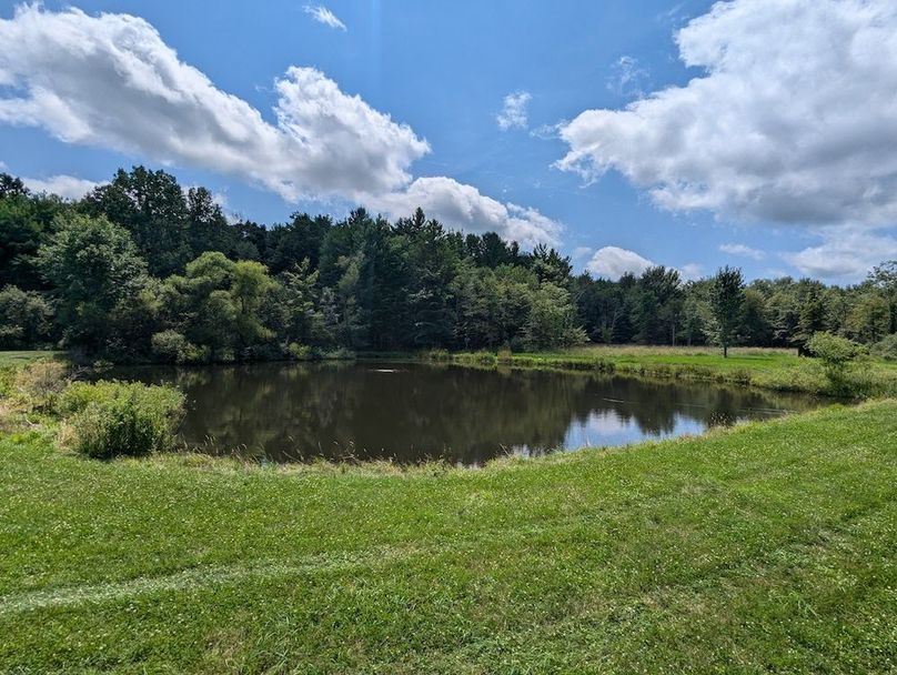 PXL_20240716_180325397