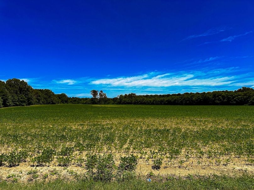 Chickasaw 160 Porter-16