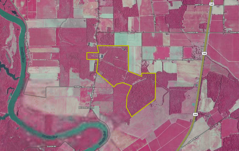 Screenshot 2026-03-12 at 2.22.27 PM