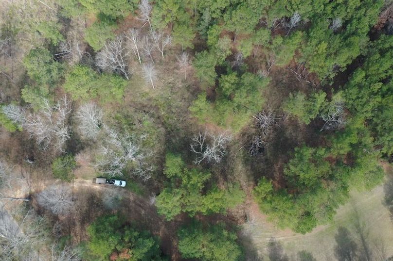 DJI_0181
