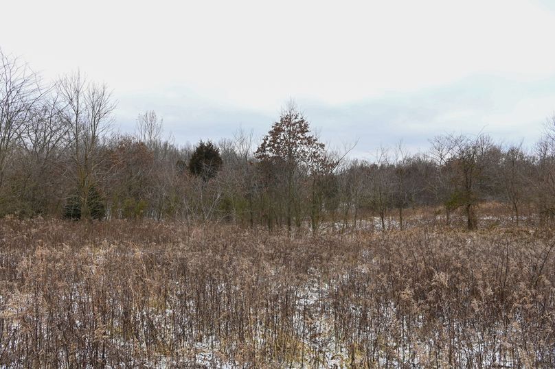 vandalia 450 (2)-1187