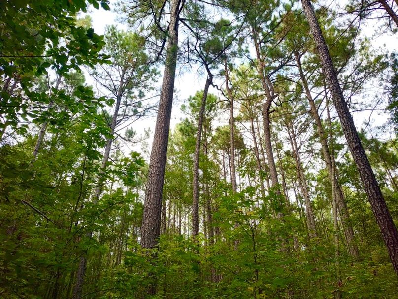 IMG_20250914_173711304_HDR