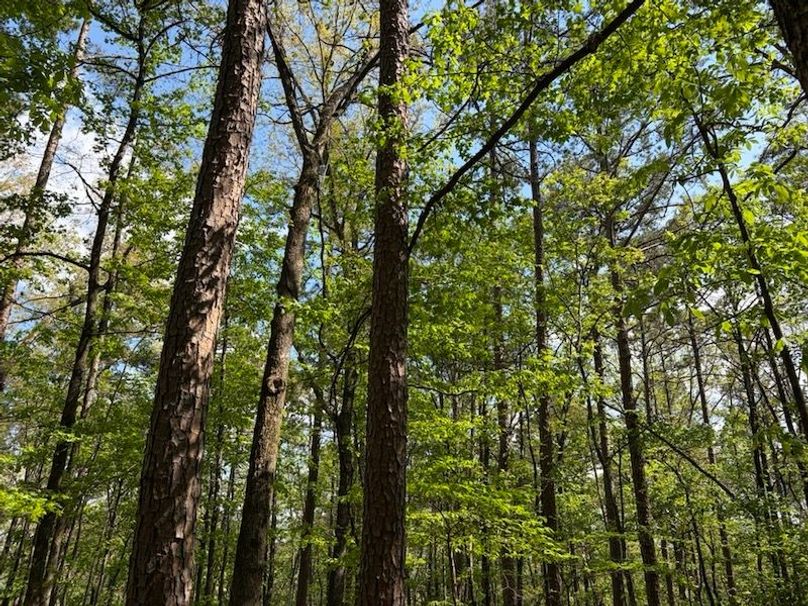 B7523437-C638-4016-9D03-EFAF06CA5220_1_105_c