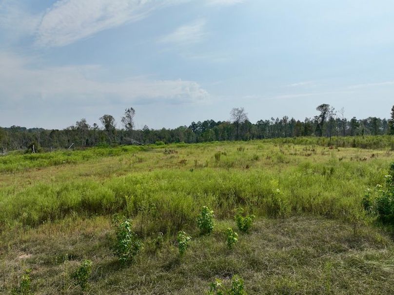 dji_fly_20250918_112538_194_1758209475872_photo