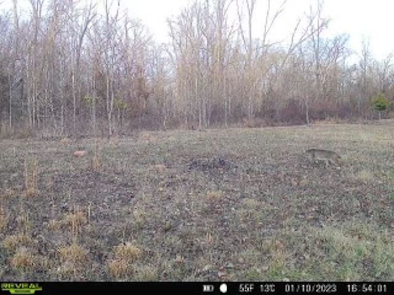 868032065377495-30-3-01102023165400-V-W1003612