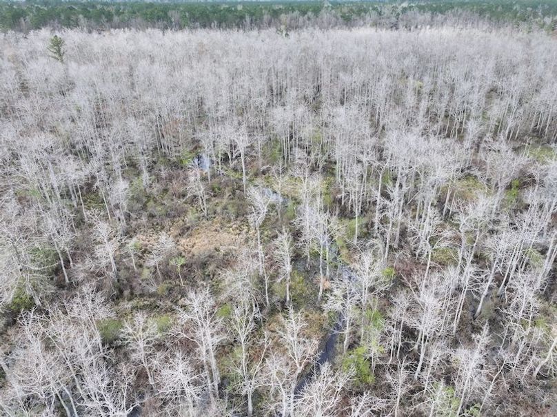 dji_fly_20260123_134602_0974_1769444760613_photo