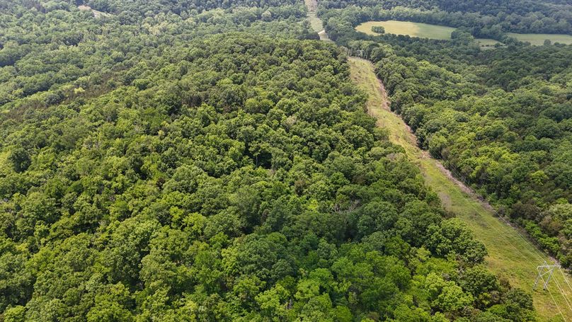 DJI_20250604132845_0017_D