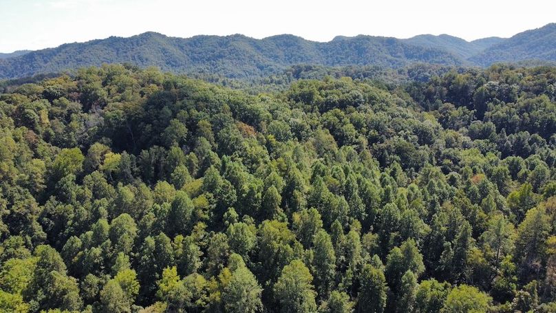 dji_fly_20250910_144432_190_1757539805320_photo_optimized