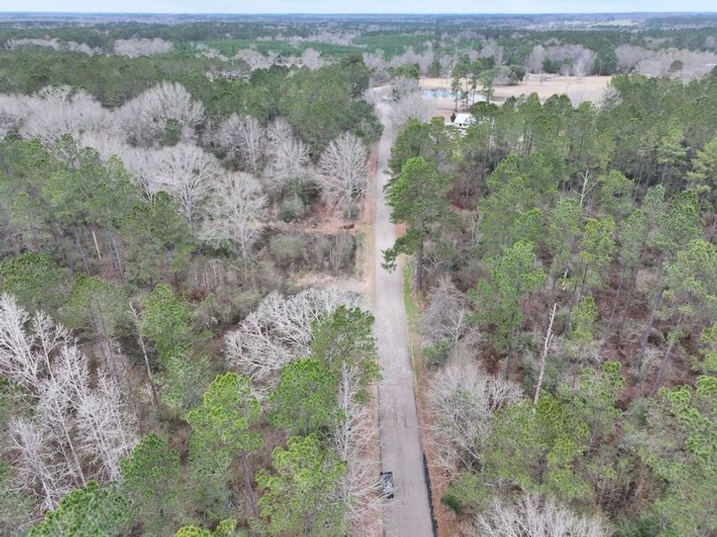 dji_fly_20260217_133242_0124_1771436926203_photo