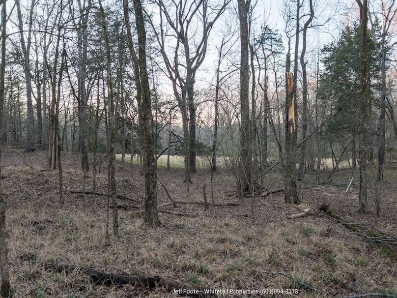 Hinds Co - 53.51 - MT Beasley-31