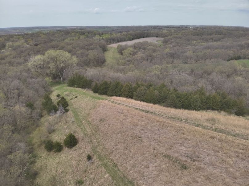 DJI_20250424132006_0019_V