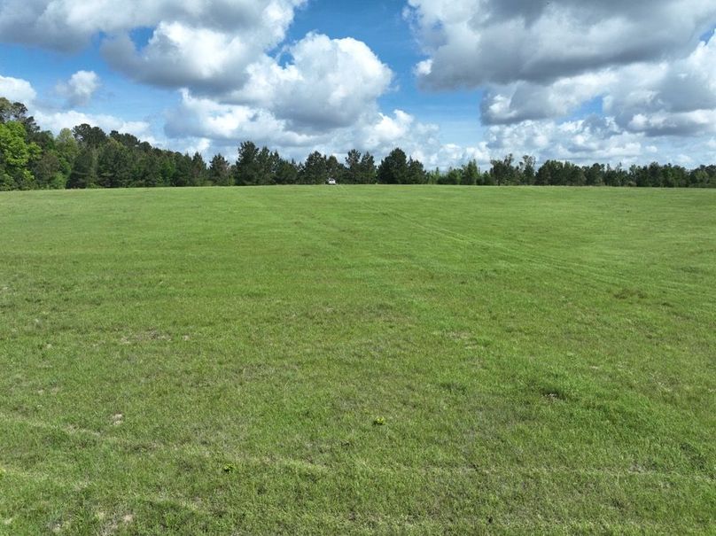 dji_fly_20260415_114420_422_1776344967948_photo