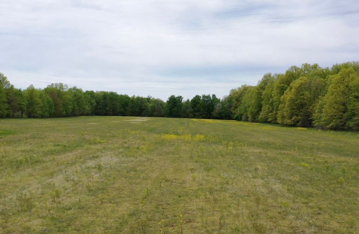Screenshot 2026-05-22 at 5.22.29 PM