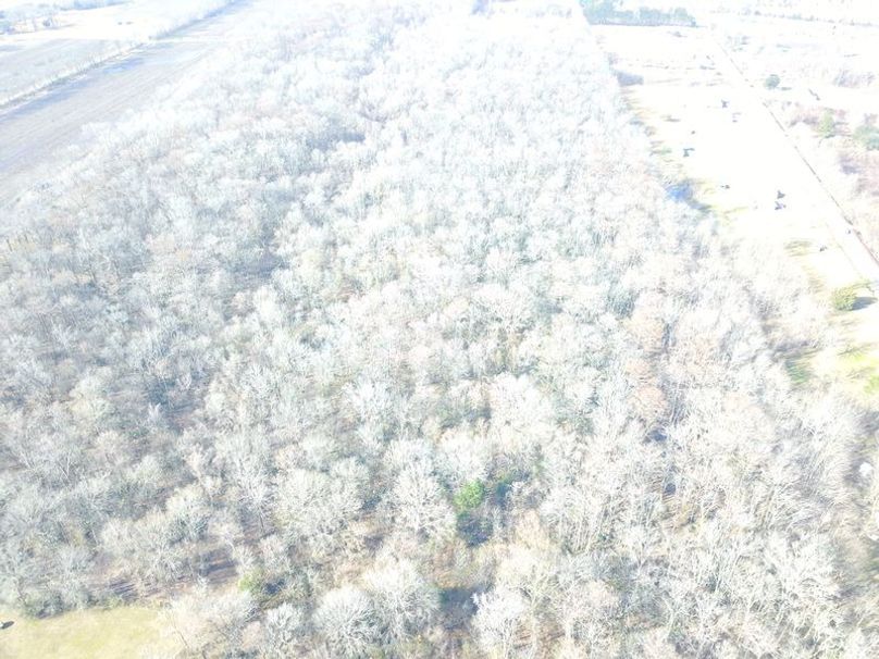 DJI_0004