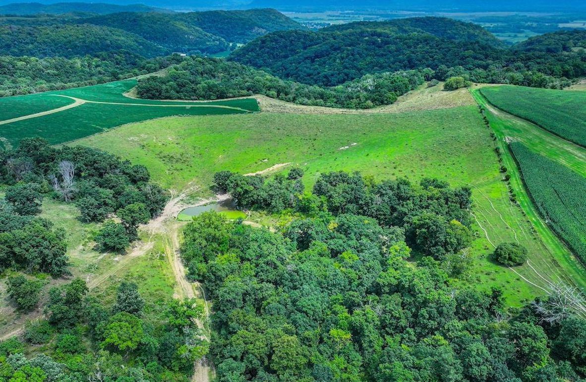 New Albin 8_8 edits-07