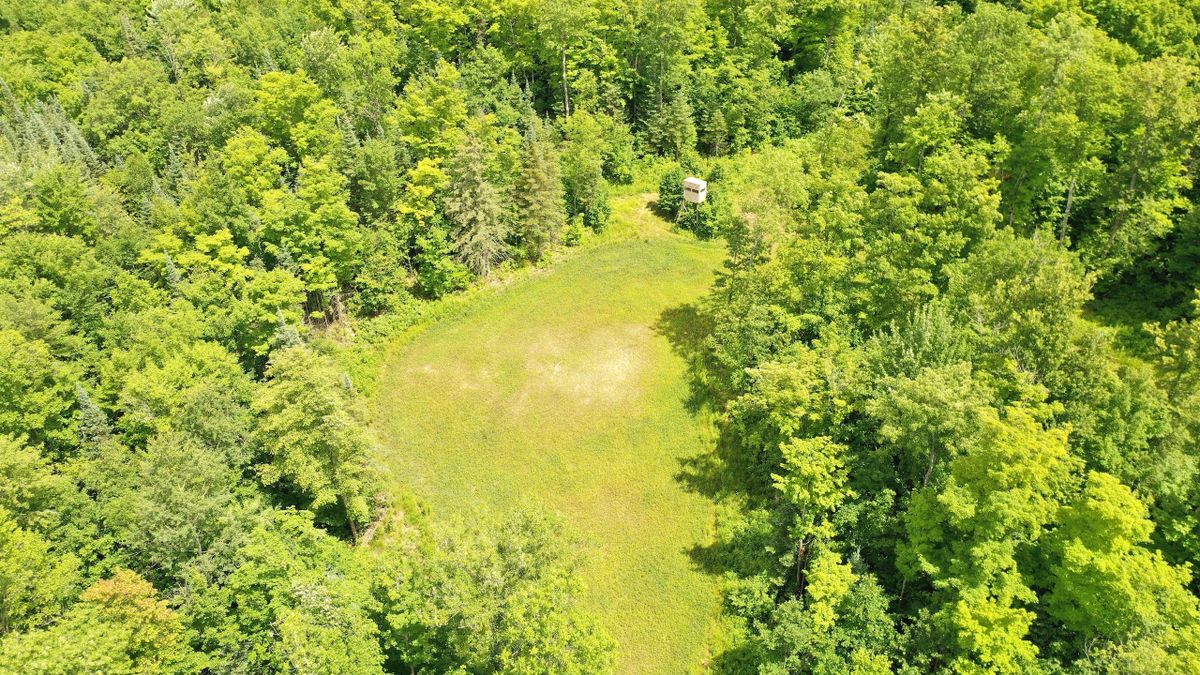 High Ground, Large Acreage Deer, Bear And Turkey Hunting Tract Near
