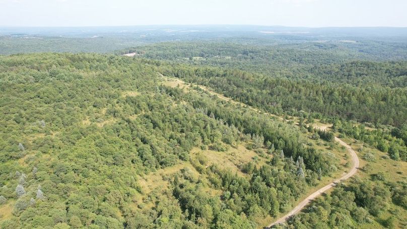 dji_fly_20250804_162520_510_1754355782020_photo