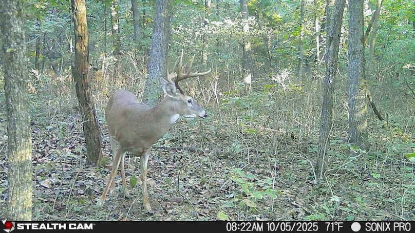 25100508222001005495_ColorizationType.none