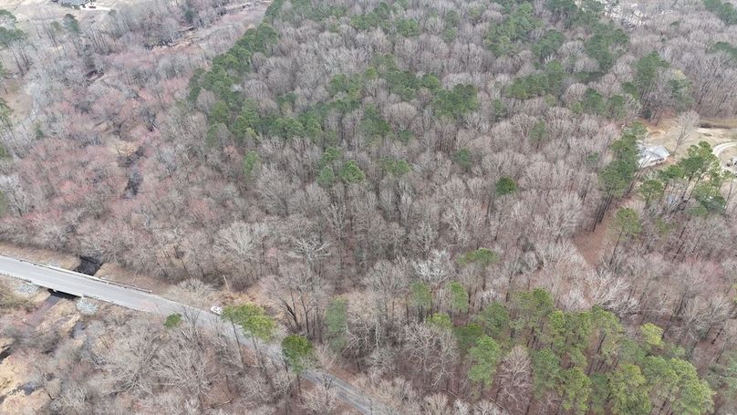 dji_fly_20260225_113114_0116_1772037655078_photo