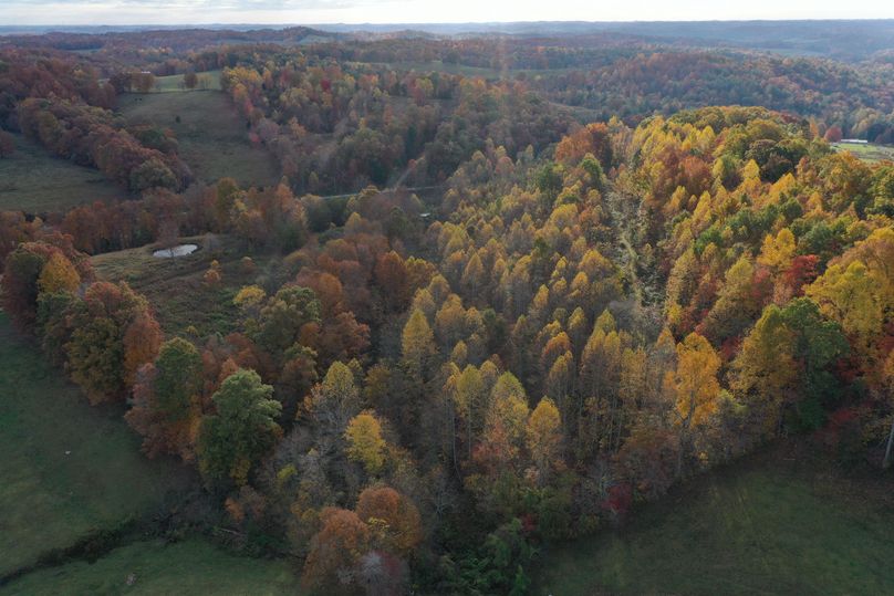 010 aerial drone shot from the west boundary looking east