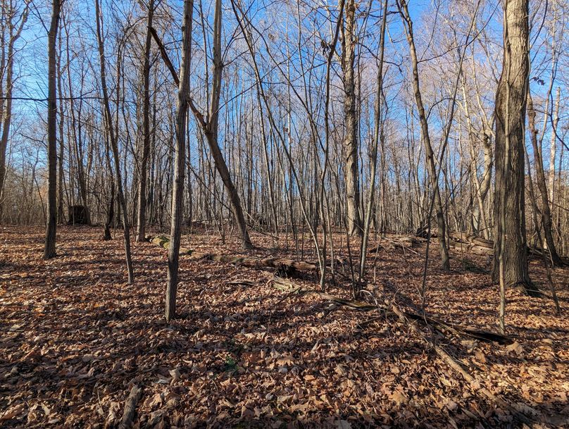 PXL_20231215_164203867