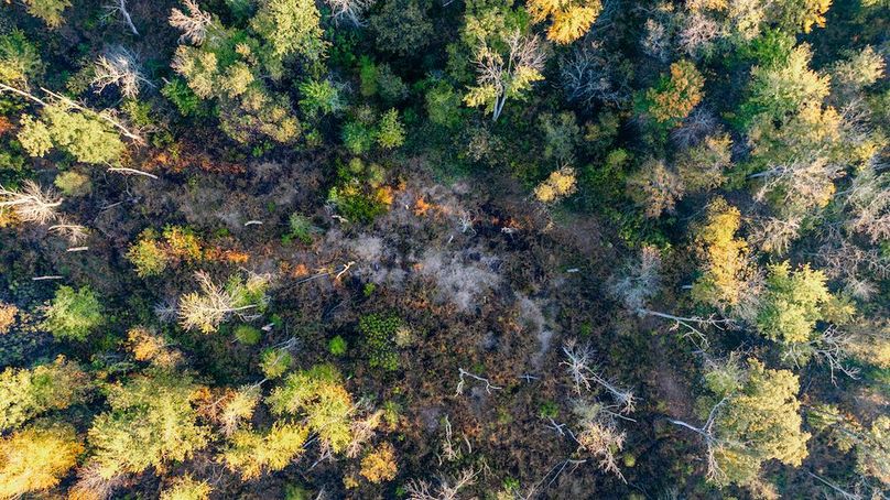 DJI_20251030191535_0012_D