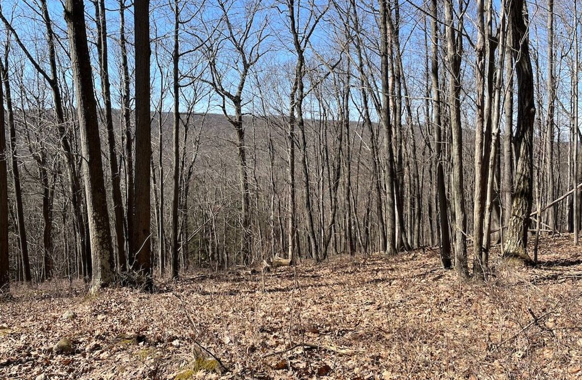 Ontario_9.6_Powell Photo 5