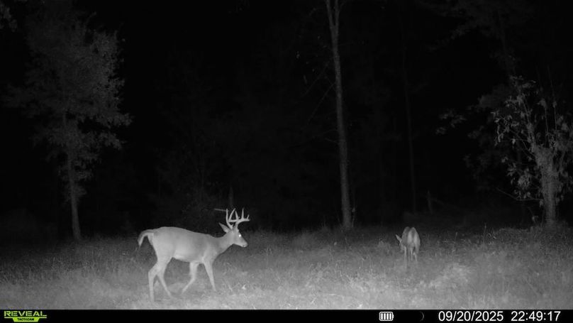 016578004352834-97-3-09202025224917-SYFW00215