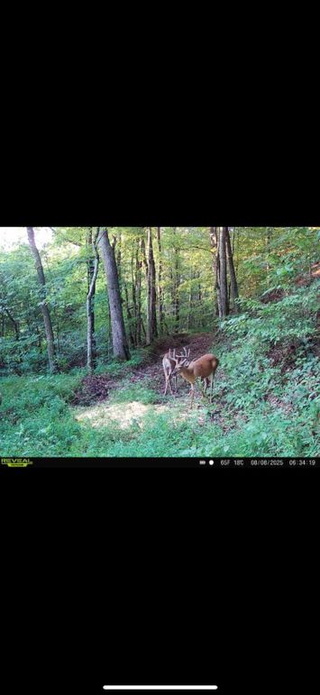 8CEA50DF-D1CE-4613-BC11-81067C075123_1_102_o