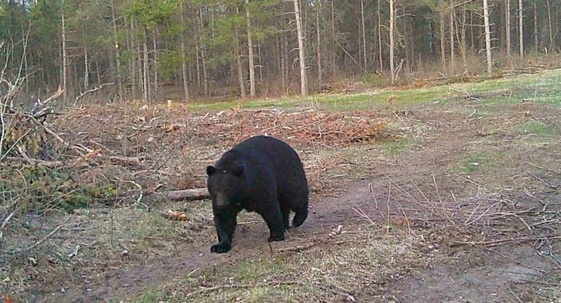 25050720500601002507 (1)