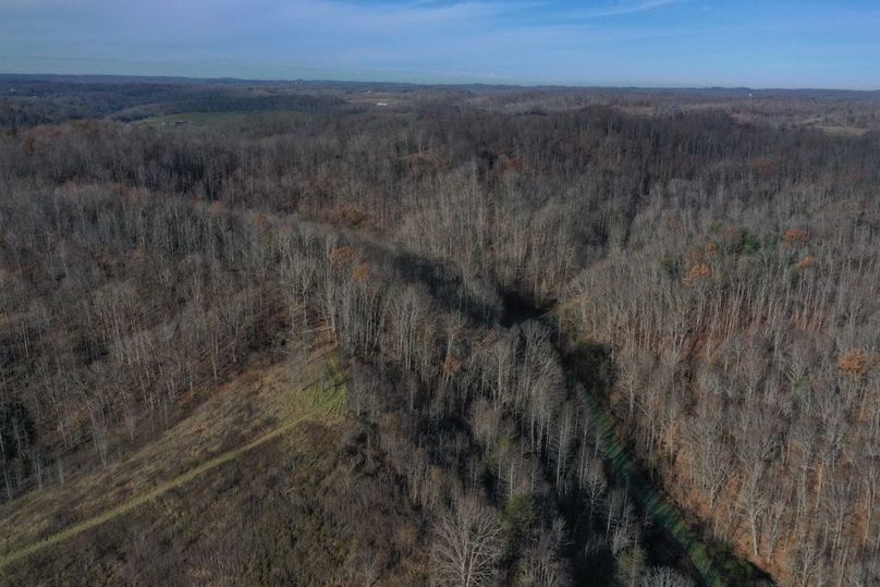 016 aerial drone shot of the main left valley from KY 3420