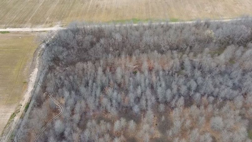 2024-02-29-15-45-42-533