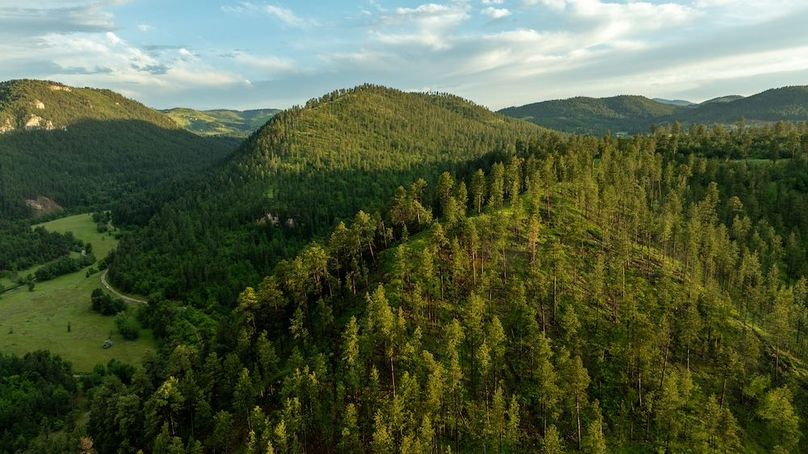 Lawrence SD 50 Featured_ProPhoto-52