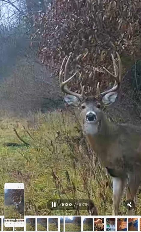 A2064224-3B1C-41E8-AA50-58C07F793EF9_1_201_a