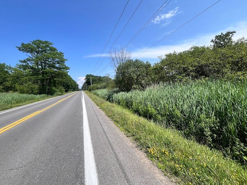 Oswego_13.95_Moore_Bush_Photos_29