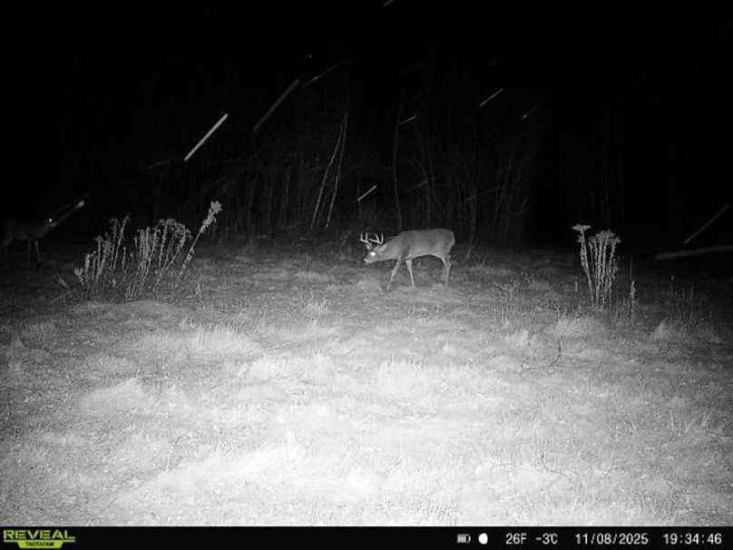 864049056287651-40-4-11082025193446-W1000404