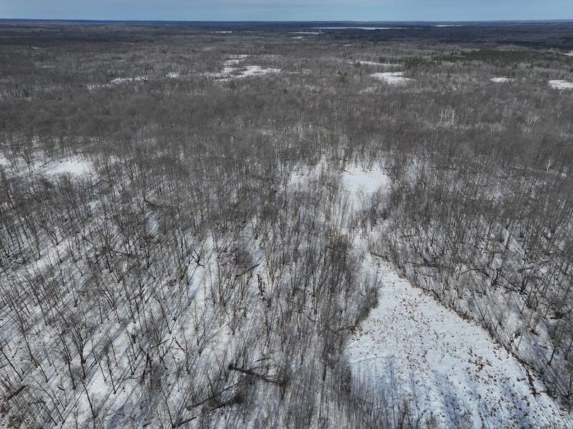 DJI_20260113153159_0006_D