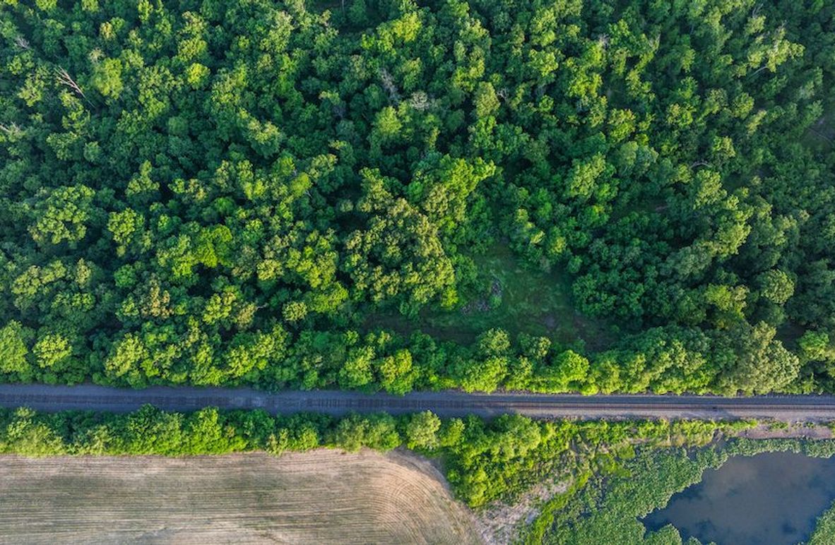 DJI_20260513063448_0011_D