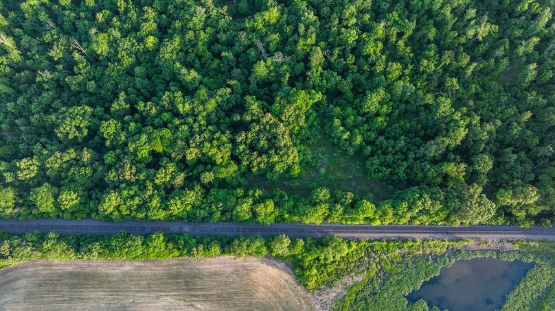 DJI_20260513063448_0011_D