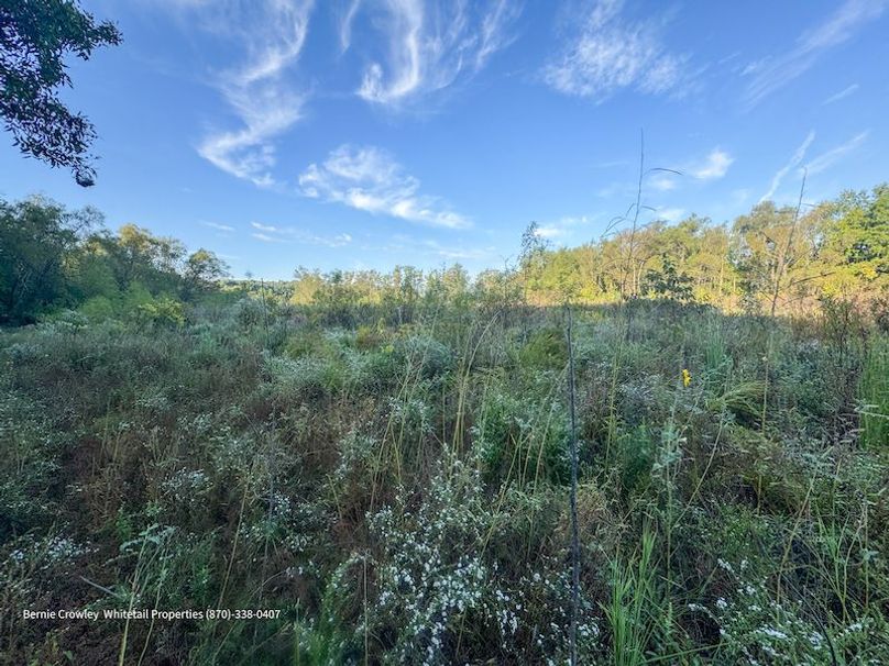 DeSoto 109 Prewett -29