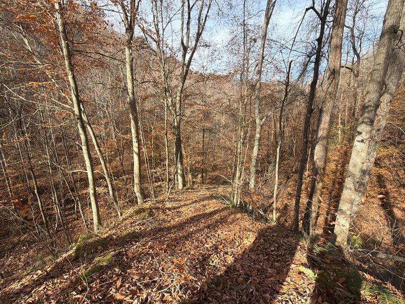 010 Solid Road Bed Leading out of from Gas Well