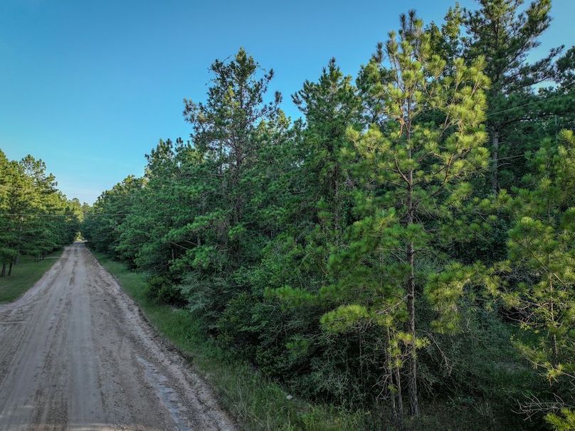 Copy of DJI_20240704191820_0061_D